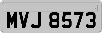 MVJ8573