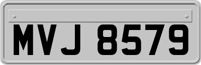 MVJ8579