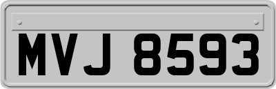 MVJ8593