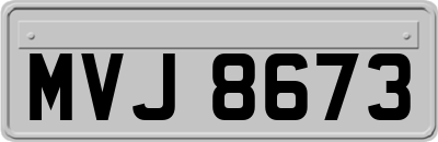 MVJ8673