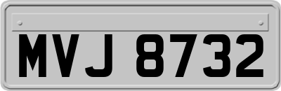 MVJ8732
