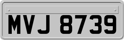 MVJ8739