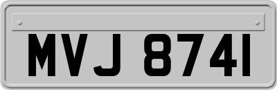 MVJ8741