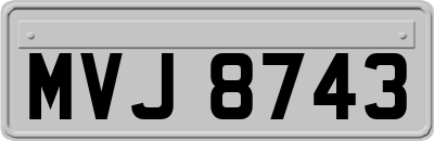 MVJ8743