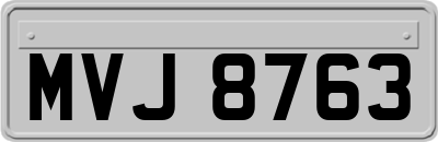 MVJ8763