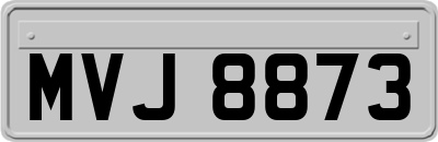 MVJ8873