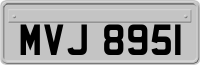 MVJ8951