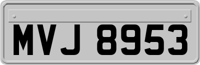 MVJ8953