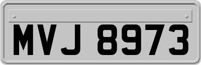 MVJ8973