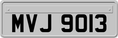 MVJ9013