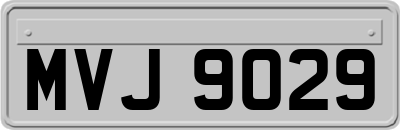 MVJ9029