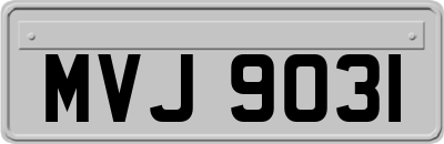 MVJ9031