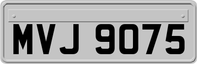 MVJ9075