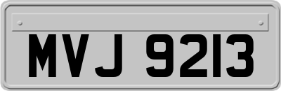 MVJ9213
