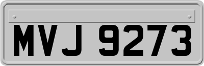 MVJ9273