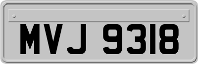 MVJ9318