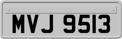 MVJ9513