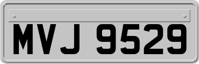MVJ9529