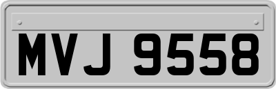 MVJ9558