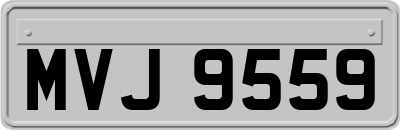 MVJ9559