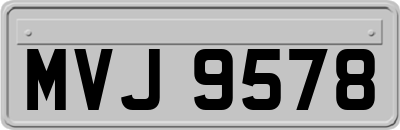 MVJ9578