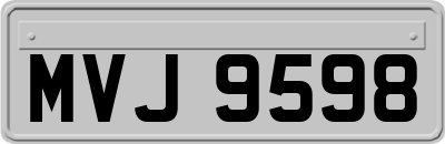 MVJ9598