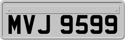 MVJ9599