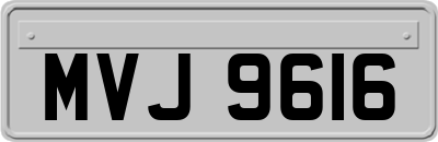 MVJ9616