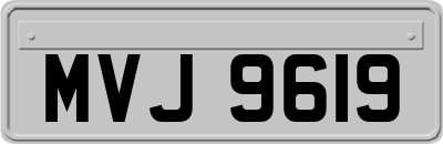 MVJ9619