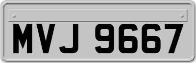 MVJ9667