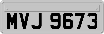 MVJ9673