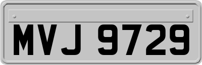 MVJ9729