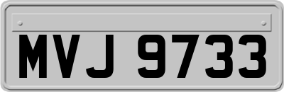 MVJ9733