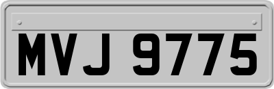 MVJ9775