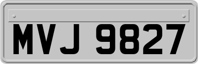 MVJ9827