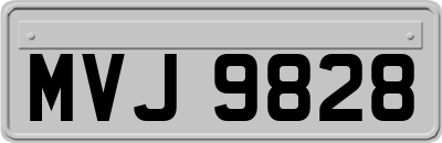 MVJ9828