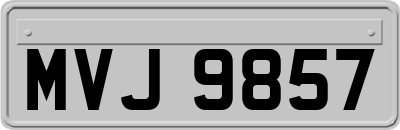 MVJ9857