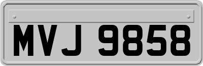 MVJ9858