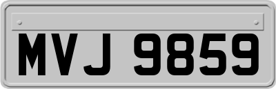 MVJ9859