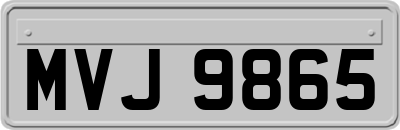 MVJ9865