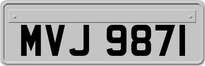MVJ9871