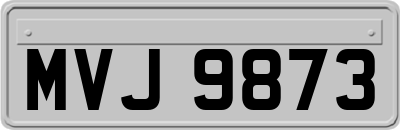 MVJ9873