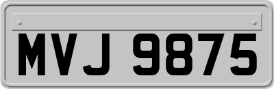 MVJ9875