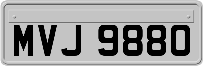 MVJ9880