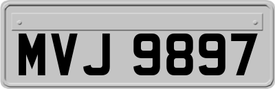MVJ9897