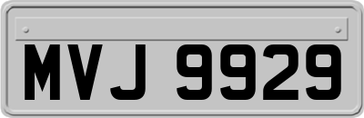 MVJ9929