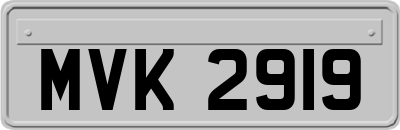 MVK2919