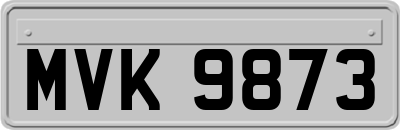 MVK9873