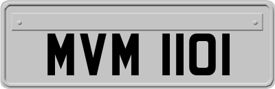 MVM1101