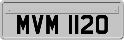 MVM1120